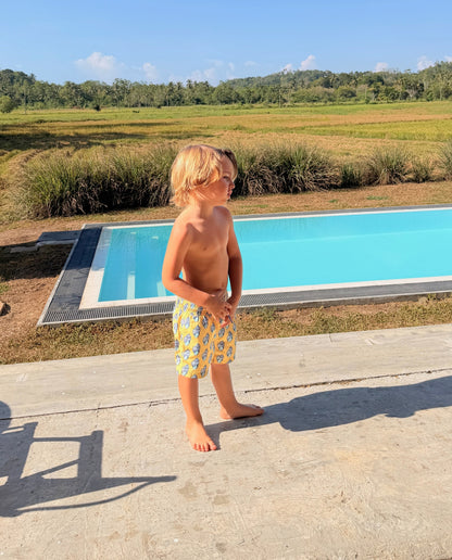 BAÑADOR NIÑO - Sunny Shells